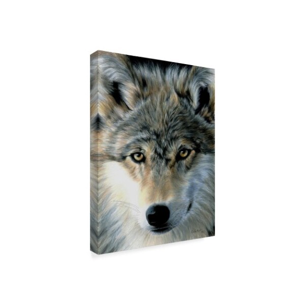 Carla Kurt 'Young Wolf' Canvas Art,35x47